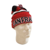 po-3 Knit Pom Beanie - CA