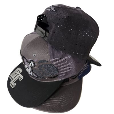 Men Embroider Hats - skull