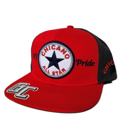 Men Embroider Hats - star